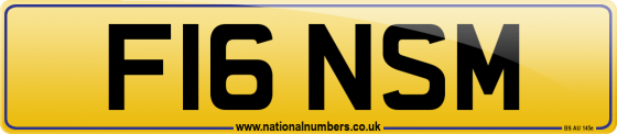 F16 NSM