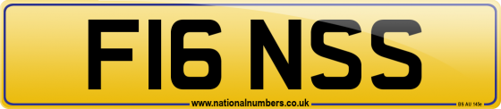 F16 NSS