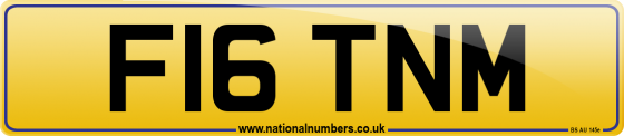 F16 TNM