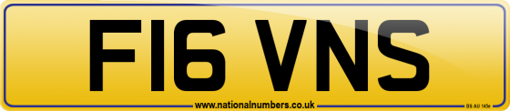 F16 VNS