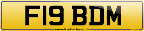 F19 BDM