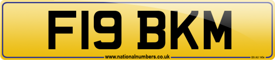 F19 BKM