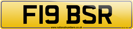 F19 BSR