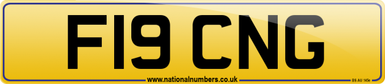 F19 CNG