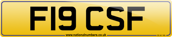F19 CSF