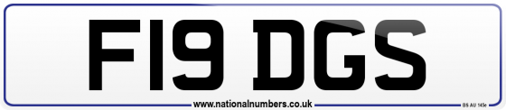 F19 DGS