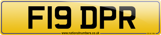 F19 DPR