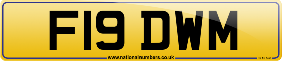 F19 DWM