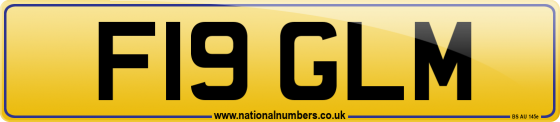 F19 GLM