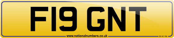 F19 GNT