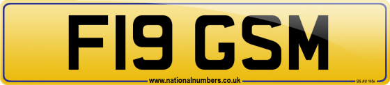 F19 GSM