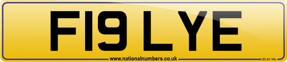 F19 LYE