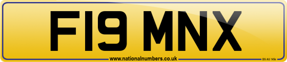 F19 MNX