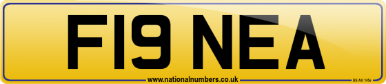 F19 NEA