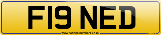F19 NED