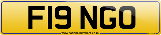 F19 NGO