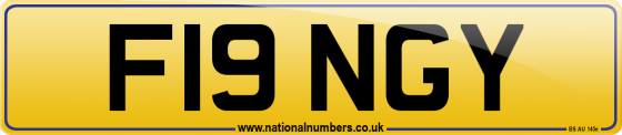 F19 NGY