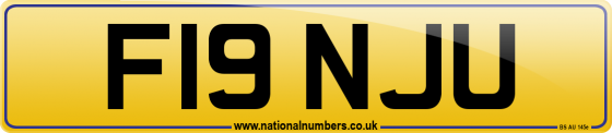 F19 NJU