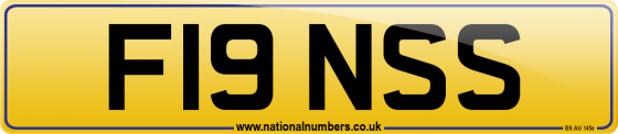 F19 NSS