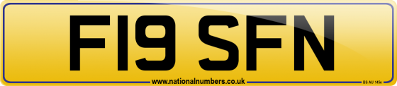 F19 SFN