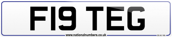 F19 TEG