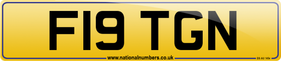 F19 TGN