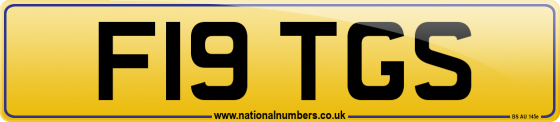 F19 TGS