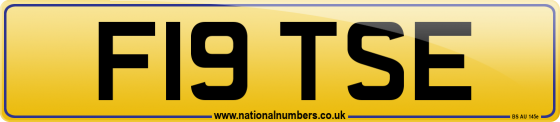 F19 TSE