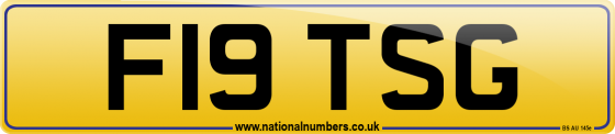 F19 TSG