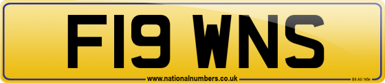 F19 WNS