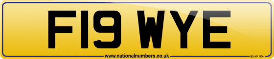 F19 WYE