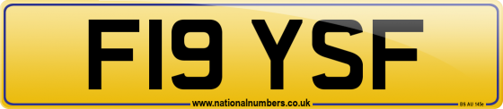 F19 YSF