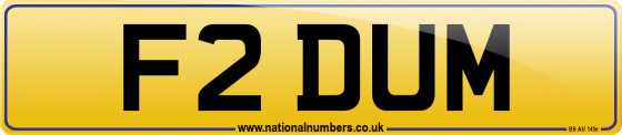 F2 DUM