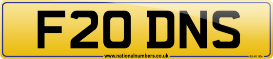 F20 DNS