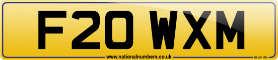 F20 WXM