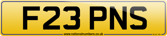 F23 PNS
