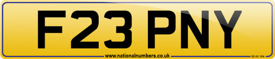 F23 PNY