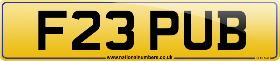 F23 PUB