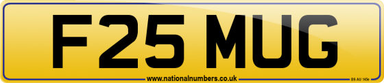 F25 MUG