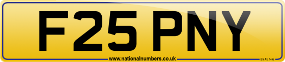 F25 PNY
