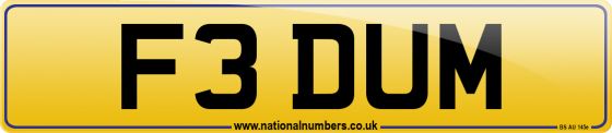 F3 DUM