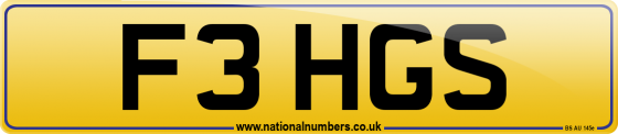 F3 HGS
