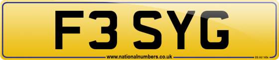 F3 SYG