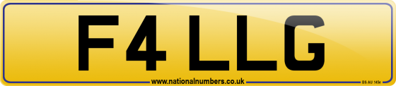 F4 LLG