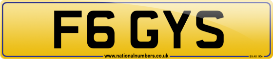 F6 GYS