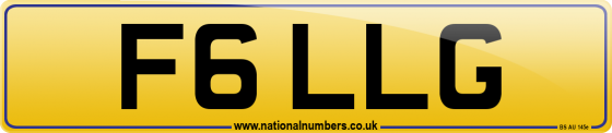 F6 LLG