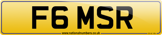 F6 MSR