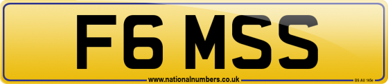 F6 MSS