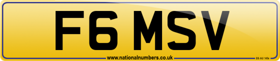 F6 MSV