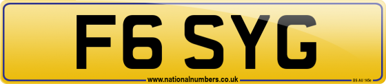 F6 SYG